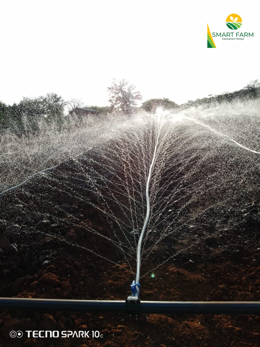 Irrigation 10